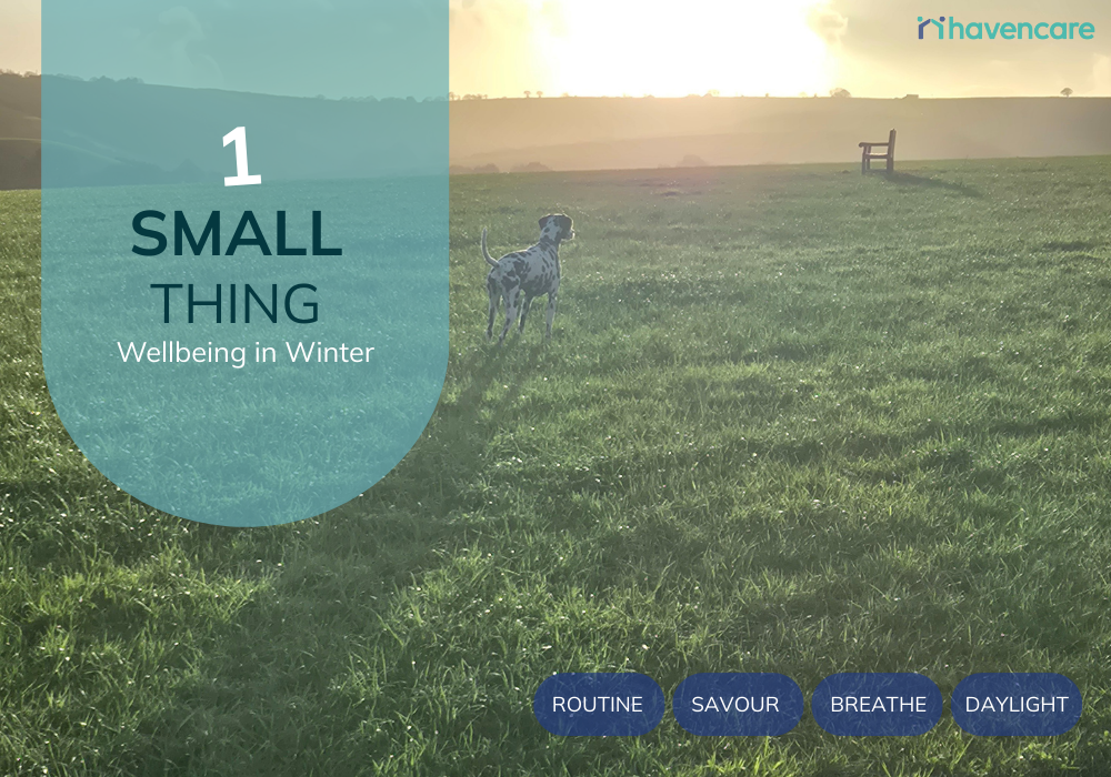 Header image showing a winter landscape with a dog standing in a grassy field at sunset, overlaid with the text “#OneSmallThing: Wellbeing in Winter”.